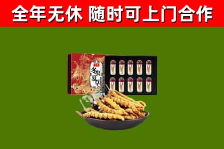 万全区回收冬虫夏草价格